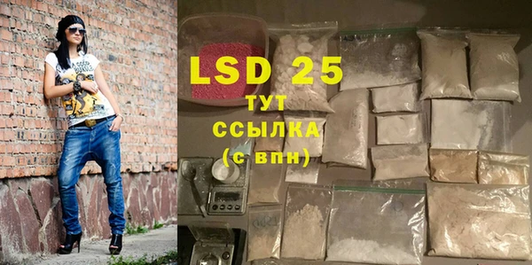 индика Осинники