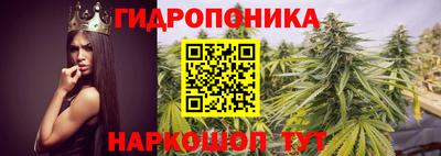 спайс Жуковский