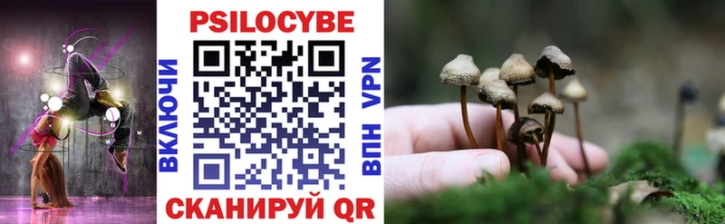 Галлюциногенные грибы Psilocybine cubensis  Новозыбков 