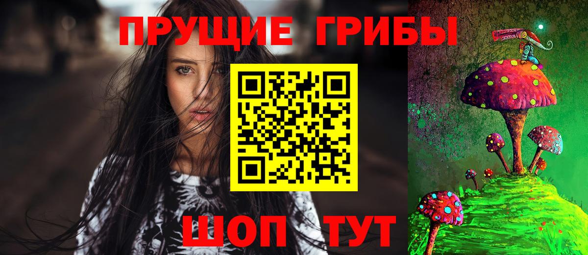 Псилоцибиновые грибы MAGIC MUSHROOMS Новозыбков