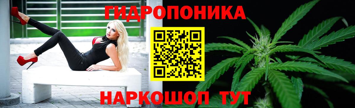 Каннабис ГИДРОПОН Новозыбков